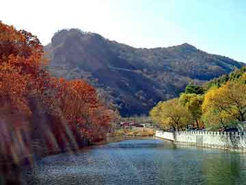 澳门精准正版免费大全14年新，雨燕怎么样